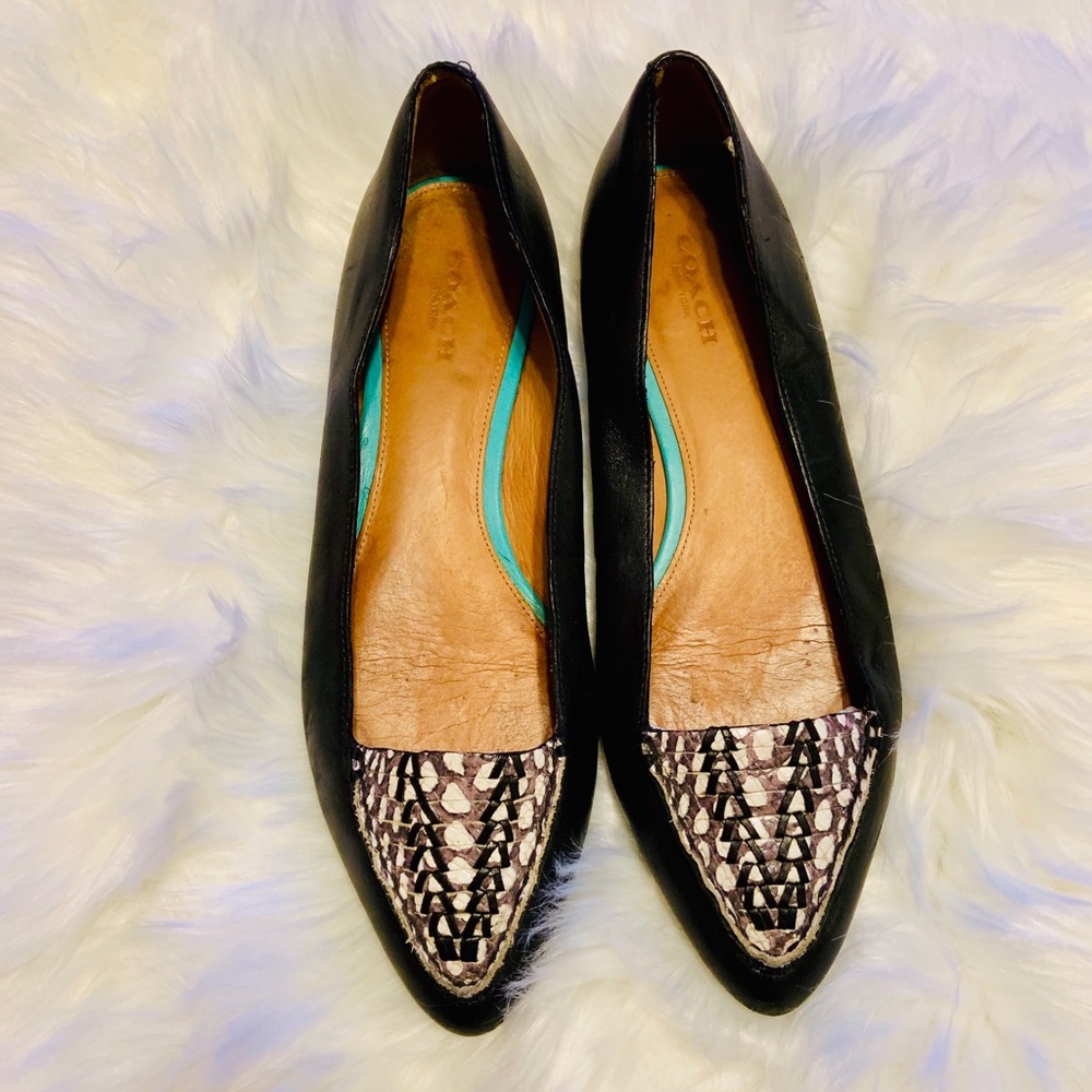 Coach Oakland black pointed